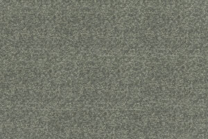 BRAVIA 09