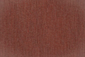 NAOMI 55