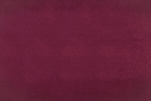 BAROJA 22