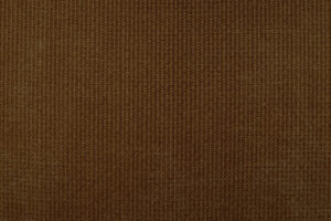 MAMBO OCRE