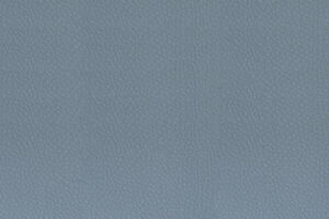 VEGAN 12 GRIS