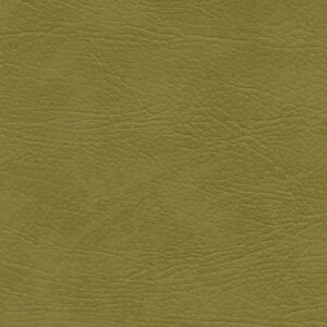 Select Kiwi 11081