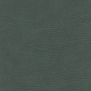 Select Lichen 10831