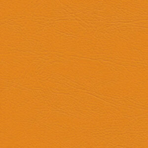 Select Mango 21716