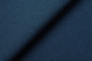 BLUE-BIRD-MIS-104